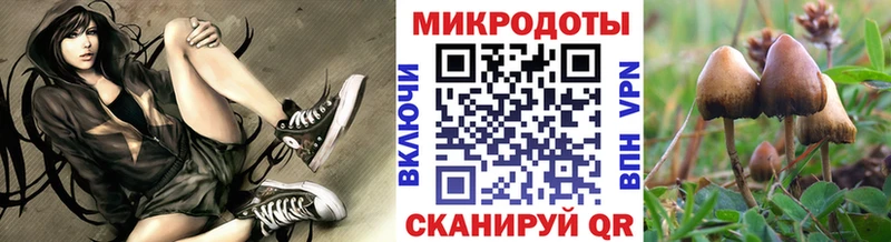 MEGA как зайти дарнет шоп Петропавловск-Камчатский Галлюциногенные грибы прущие грибы